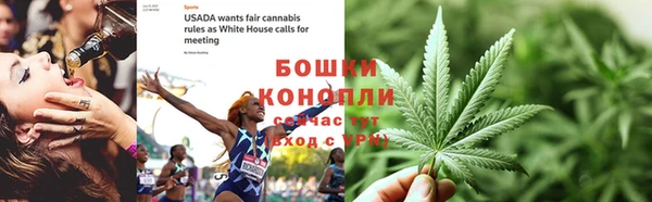 PSILOCYBIN Магас
