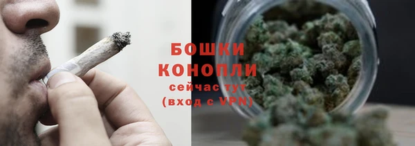 PSILOCYBIN Магас
