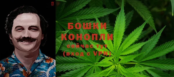 PSILOCYBIN Магас