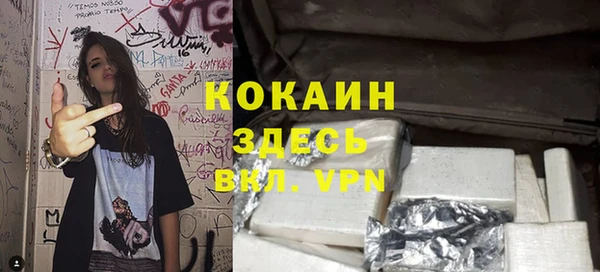 PSILOCYBIN Магас